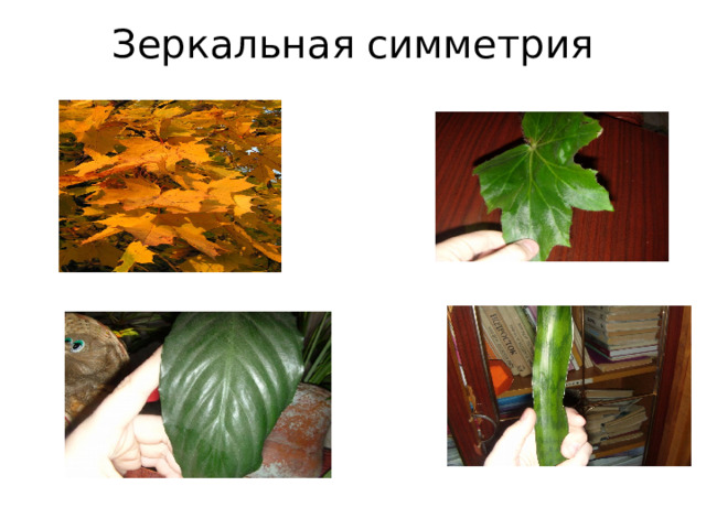 Зеркальная симметрия     