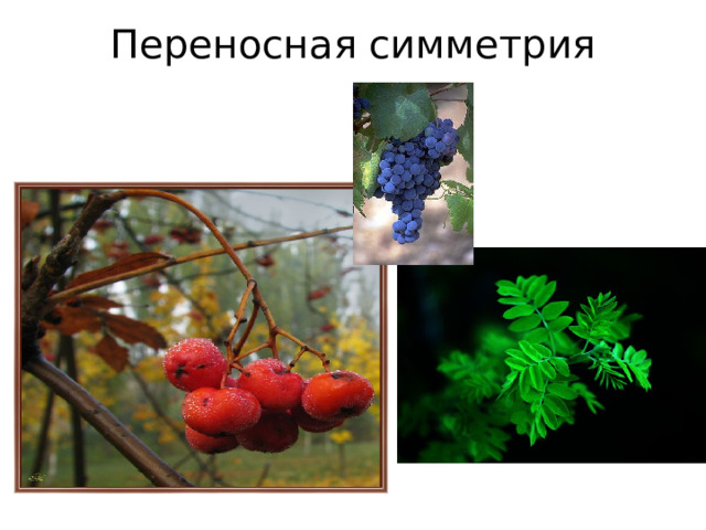 Переносная симметрия   
