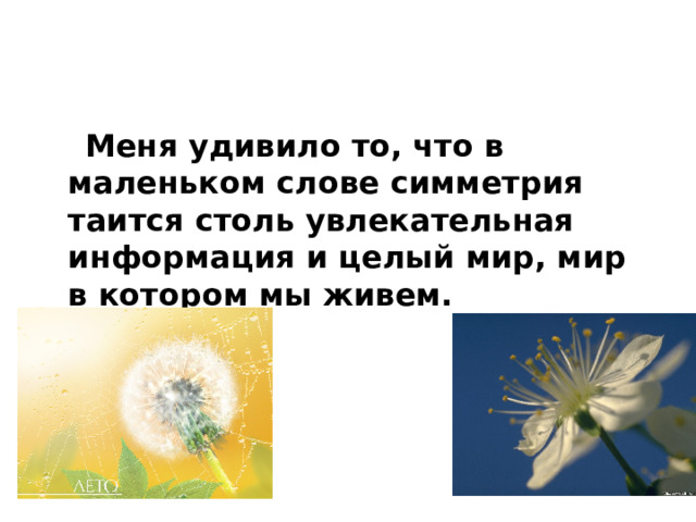  Меня удивило то, что в маленьком слове симметрия таится столь увлекательная информация и целый мир, мир в котором мы живем.  