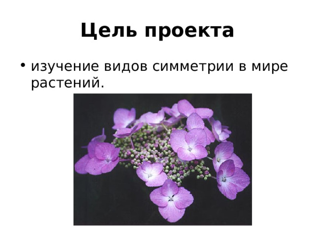 Цель проекта изучение видов симметрии в мире растений. 