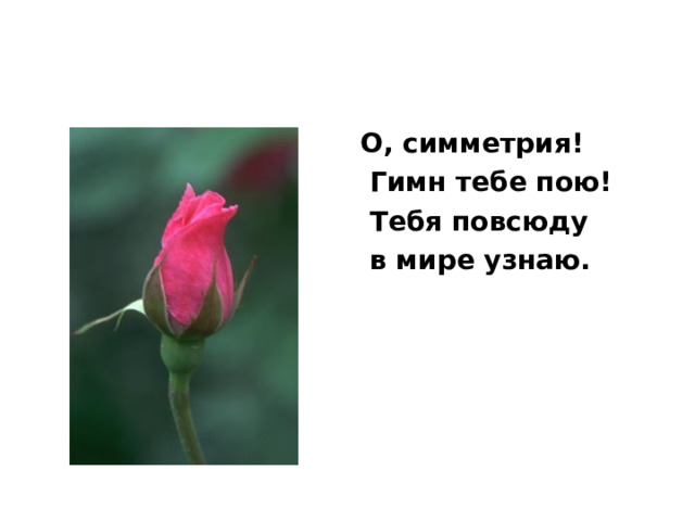 О, симметрия!  Гимн тебе пою!  Тебя повсюду  в мире узнаю. 
