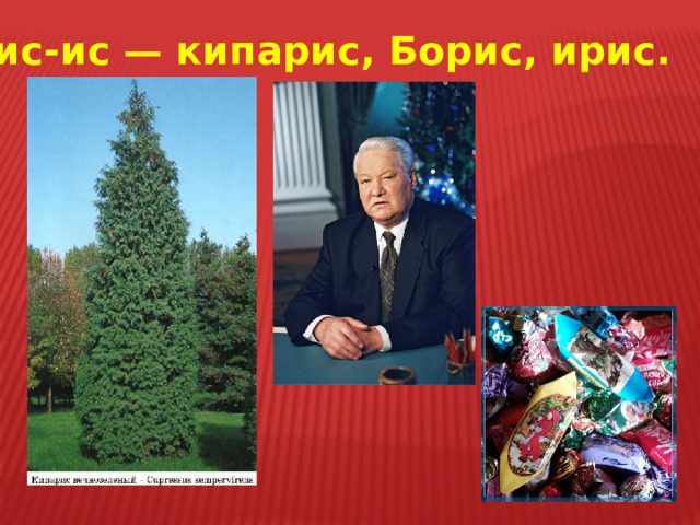 Ис-ис-ис — кипарис, Борис, ирис. 