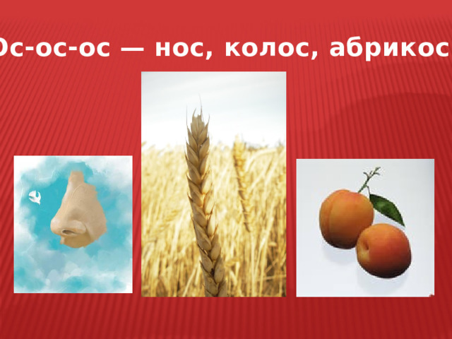 Ос-ос-ос — нос, колос, абрикос. 