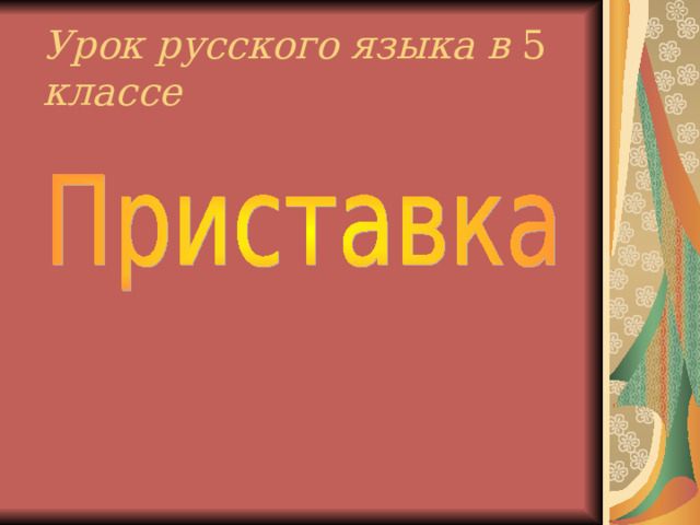 Урок русского языка в 5 классе      