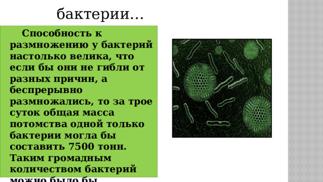 бактерии…  Способность к размножению у бактерий настолько велика, что если бы они не гибли от разных причин, а беспрерывно размножались, то за трое суток общая масса потомства одной только бактерии могла бы составить 7500 тонн. Таким громадным количеством бактерий можно было бы заполнить около 375 железнодорожных вагонов. 