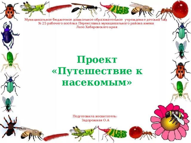 Муниципальное бюджетное дошкольное образовательное учреждение детский сад № 25 рабочего посёлка Переяславка муниципального района имени  Лазо Хабаровского края Проект «Путешествие к насекомым» Подготовила воспитатель: Задорожная О.А  