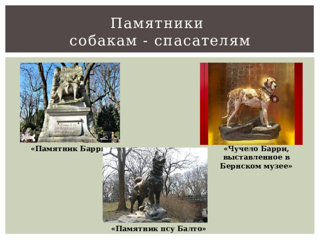 Памятники  собакам - спасателям «Памятник Барри» «Чучело Барри, выставленное в Бернском музее» «Памятник псу Балто» 