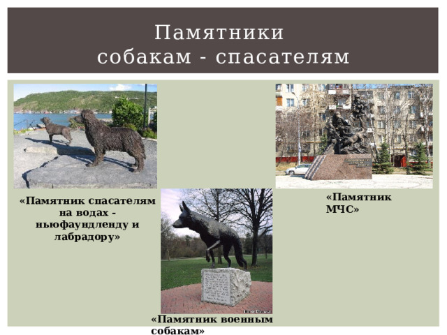 Памятники  собакам - спасателям «Памятник МЧС» «Памятник спасателям на водах - ньюфаундленду и лабрадору» «Памятник военным собакам» 
