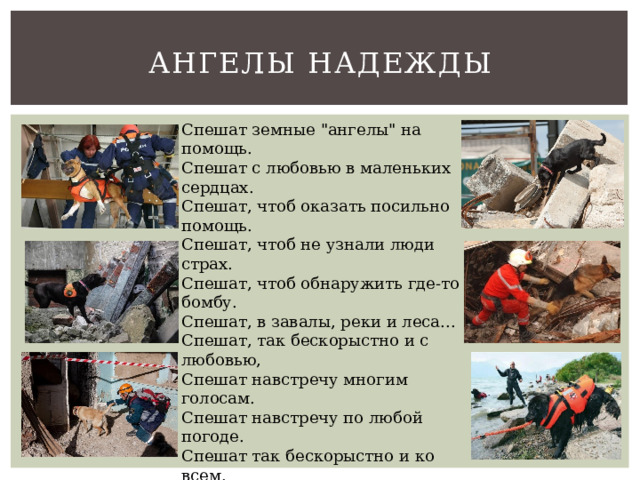 Ангелы надежды Спешат земные 