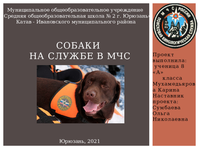 Муниципальное общеобразовательное учреждение «Средняя общеобразовательная школа № 2 г. Юрюзань» Катав - Ивановского муниципального района Собаки  на службе в МЧС Проект выполнила:   ученица 8 «А»     класса Мухамедьярова Карина Наставник проекта: Сумбаева Ольга Николаевна Юрюзань, 2021 год 