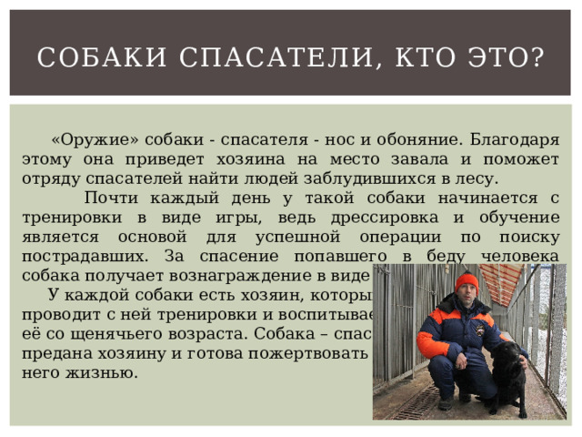 Собаки спасатели, кто это?  «Оружие» собаки - спасателя - нос и обоняние. Благодаря этому она приведет хозяина на место завала и поможет отряду спасателей найти людей заблудившихся в лесу.  Почти каждый день у такой собаки начинается с тренировки в виде игры, ведь дрессировка и обучение является основой для успешной операции по поиску пострадавших. За спасение попавшего в беду человека собака получает вознаграждение в виде лакомства.  У каждой собаки есть хозяин, который проводит с ней тренировки и воспитывает её со щенячьего возраста. Собака – спасатель предана хозяину и готова пожертвовать ради него жизнью. 