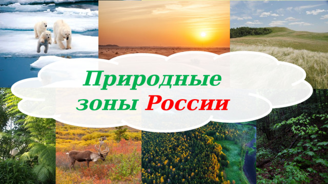 Природные зоны  России 
