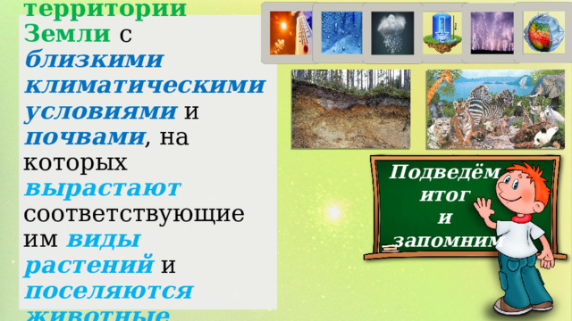 Природные зоны – большие территории Земли с близкими климатическими условиями  и почвами , на которых вырастают соответствующие им виды растений и поселяются животные определённых видов. Подведём итог и запомним 