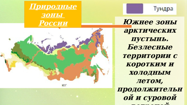 Природные зоны России Южнее зоны арктических пустынь. Безлесные территории с коротким и холодным летом, продолжительной и суровой ветреной зимой. 