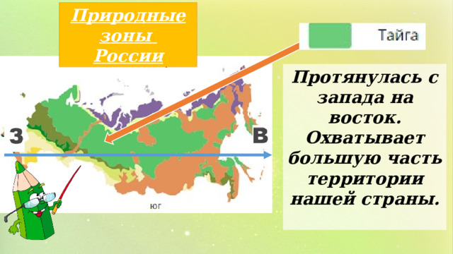 Природные зоны России Протянулась с запада на восток. Охватывает большую часть территории нашей страны.  