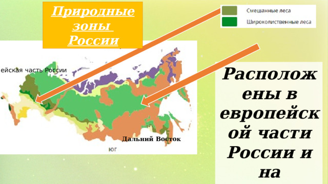 Природные зоны России Расположены в европейской части России и на Дальнем Востоке. Европейская часть России Дальний Восток 