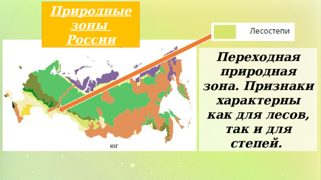 Природные зоны России Переходная природная зона. Признаки характерны как для лесов, так и для степей. 