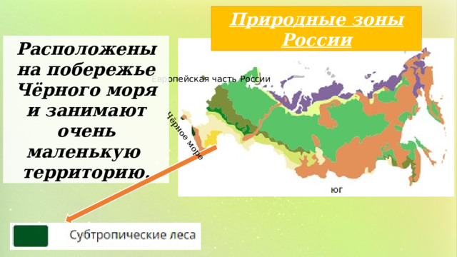 Чёрное море Природные зоны России Расположены на побережье Чёрного моря и занимают очень маленькую территорию. Европейская часть России 