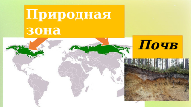 Природная зона Почва 