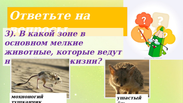 Ответьте на вопросы 3). В какой зоне в основном мелкие животные, которые ведут ночной образ жизни? мохноногий тушканчик ушастый ёж 