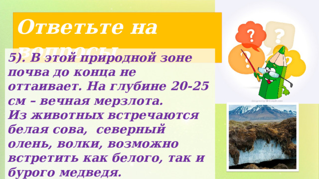 Ответьте на вопросы 5). В этой природной зоне почва до конца не оттаивает. На глубине 20-25 см – вечная мерзлота. Из животных встречаются белая сова, северный олень, волки, возможно встретить как белого, так и бурого медведя. 