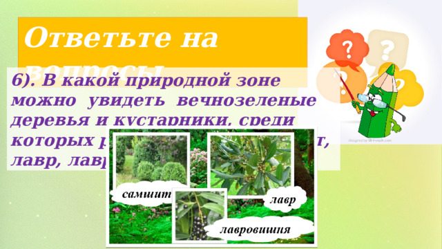 Ответьте на вопросы 6). В какой природной зоне можно увидеть вечнозеленые деревья и кустарники, среди которых распространен самшит, лавр, лавровишня. 