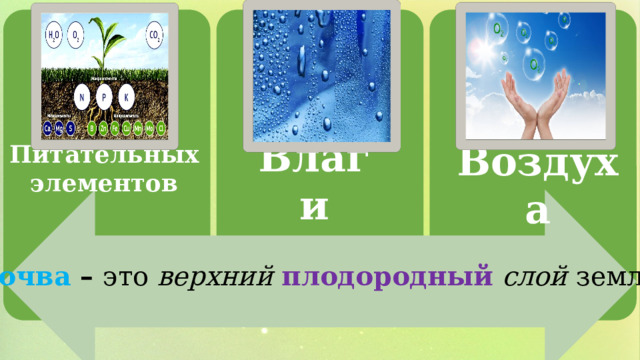 Влаги Воздуха Питательных элементов Почва – это верхний  плодородный  слой земли. 