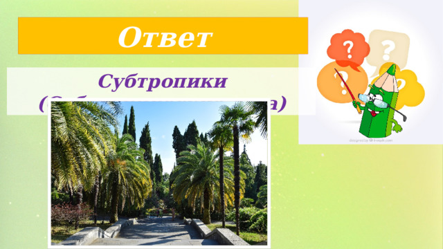 Ответ Субтропики (Субтропические леса) 