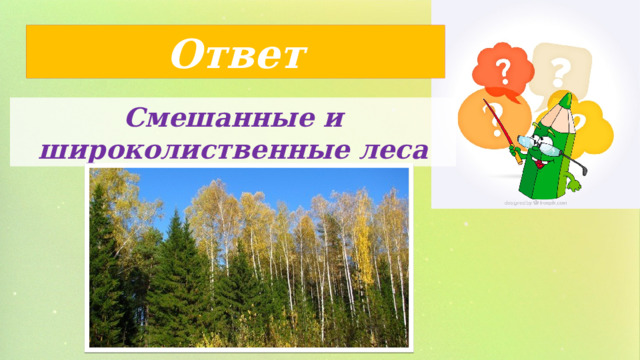 Ответ Смешанные и широколиственные леса 