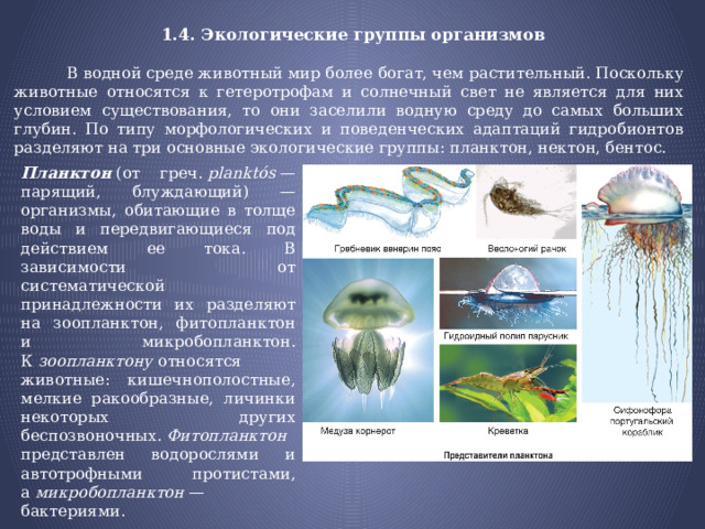  1.4. Экологические группы организмов    В водной среде животный мир более богат, чем растительный. Поскольку животные относятся к гетеротрофам и солнечный свет не является для них условием существования, то они заселили водную среду до самых больших глубин. По типу морфологических и поведенческих адаптаций гидробионтов разделяют на три основные экологические группы: планктон, нектон, бентос. Планктон   (от греч.  planktós  — парящий, блуждающий) — организмы, обитающие в толще воды и передвигающиеся под действием ее тока. В зависимости от систематической принадлежности их разделяют на зоопланктон, фитопланктон и микробопланктон. К  зоопланктону  относятся животные: кишечнополостные, мелкие ракообразные, личинки некоторых других беспозвоночных.  Фитопланктон  представлен водорослями и автотрофными протистами, а  микробопланктон  — бактериями. 