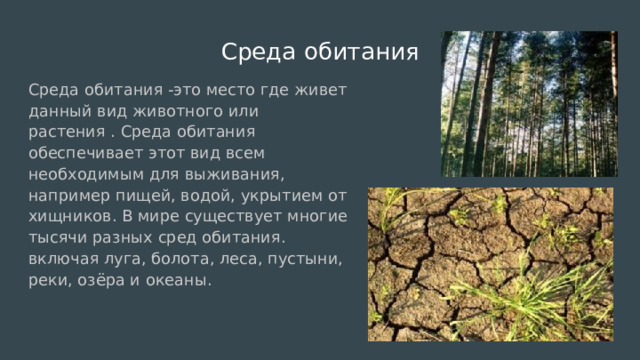 Среда обитания Среда обитания -это место где живет данный вид животного или растения . Среда обитания обеспечивает этот вид всем необходимым для выживания, например пищей, водой, укрытием от хищников. В мире существует многие тысячи разных сред обитания. включая луга, болота, леса, пустыни, реки, озёра и океаны. 