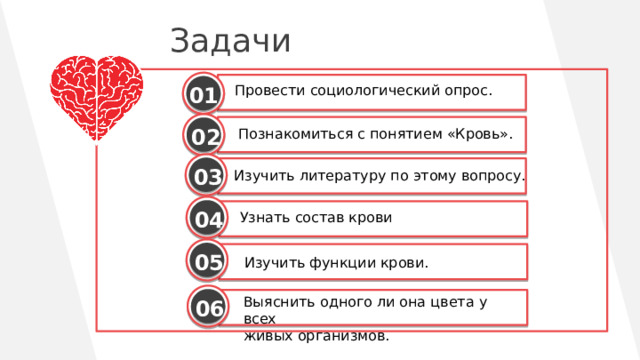 Задачи Провести социологический опрос. 01 02 Познакомиться с понятием «Кровь». 03  Изучить литературу по этому вопросу. 04 Узнать состав крови 05 Изучить функции крови. Выяснить одного ли она цвета у всех живых организмов. 06 