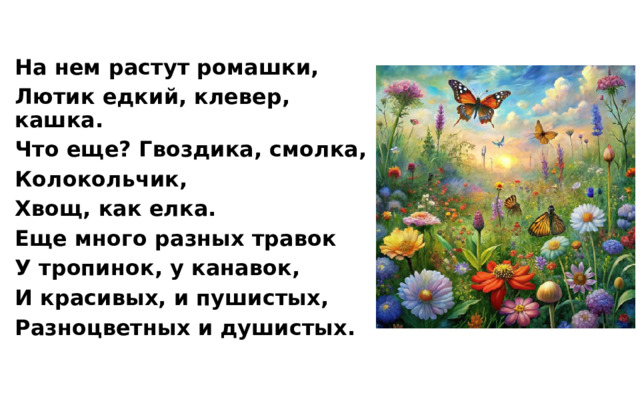 На нем растут ромашки, Лютик едкий, клевер, кашка. Что еще? Гвоздика, смолка, Колокольчик, Хвощ, как елка. Еще много разных травок У тропинок, у канавок, И красивых, и пушистых, Разноцветных и душистых. 