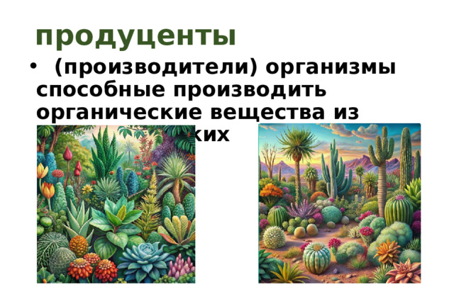 продуценты  (производители) организмы способные производить органические вещества из неорганических 