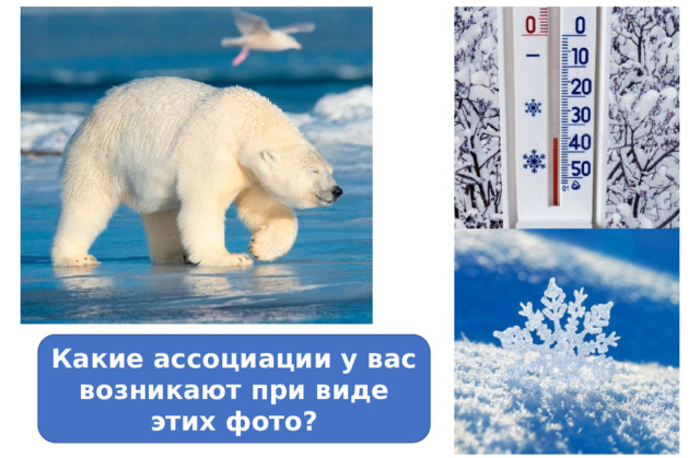 Какие ассоциации у вас возникают при виде этих фото? 