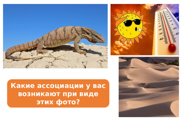 Какие ассоциации у вас возникают при виде этих фото? 