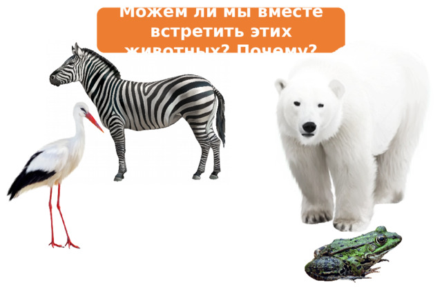 Можем ли мы вместе встретить этих животных? Почему? 