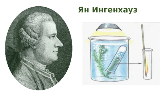 Ян Ингенхауз 