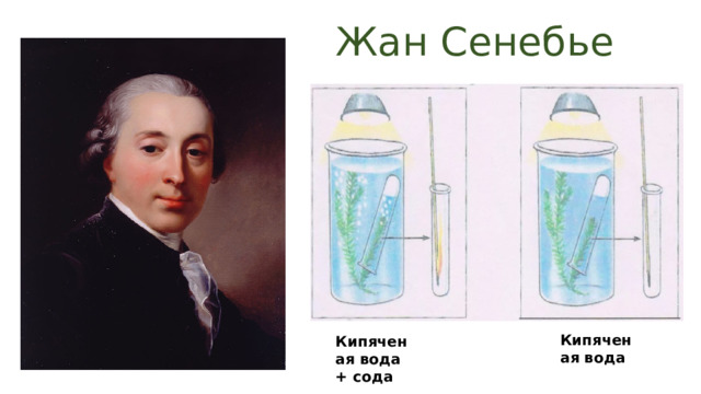 Жан Сенебье Кипяченая вода Кипяченая вода + сода 