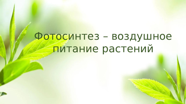 Фотосинтез – воздушное питание растений  