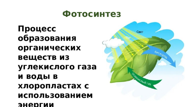 Фотосинтез Процесс образования органических веществ из углекислого газа и воды в хлоропластах с использованием энергии солнечного света 