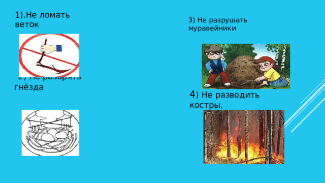 1).Не ломать веток 3) Не разрушать муравейники  2) Не разорять гнёзда 4 ) Не разводить костры. 