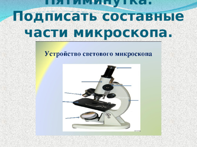 Пятиминутка. Подписать составные части микроскопа. 