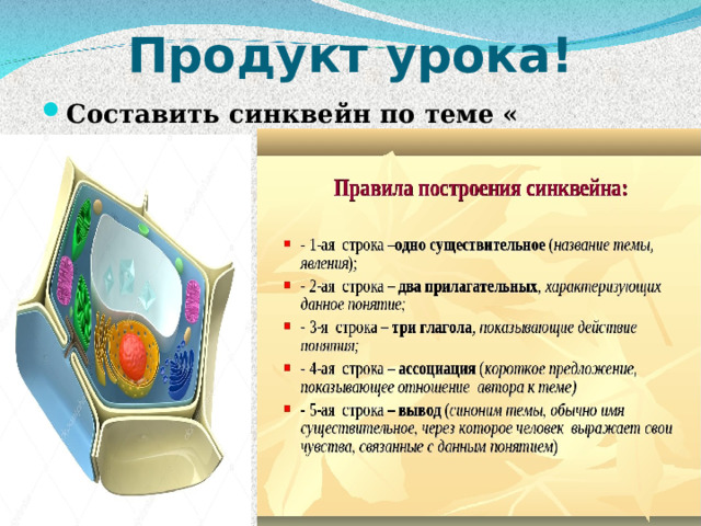 Продукт урока! Составить синквейн по теме « КЛЕТКА»  