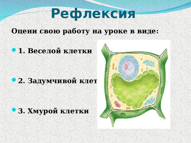 Рефлексия Оцени свою работу на уроке в виде : 1. Веселой клетки   2. Задумчивой клетки   3. Хмурой клетки 