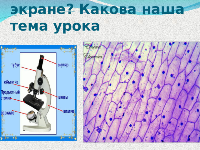 Что вы видите на экране ? Какова наша тема урока 
