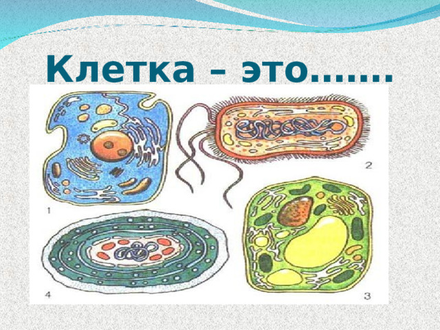 Клетка – это……. 