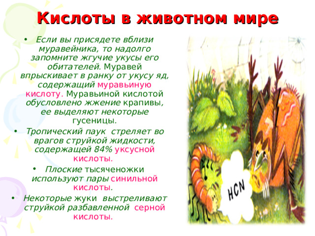  Кислоты в животном мире Если вы присядете вблизи муравейника, то надолго запомните жгучие укусы его обитателей. Муравей впрыскивает в ранку от укусу яд, содержащий муравьиную кислоту .  Муравьиной кислотой обусловлено жжение крапивы , ее выделяют некоторые гусеницы . Тропический паук стреляет во врагов струйкой жидкости, содержащей 84% уксусной кислоты . Плоские тысяченожки используют пары синильной кислоты . Некоторые жуки выстреливают струйкой разбавленной серной кислоты .  
