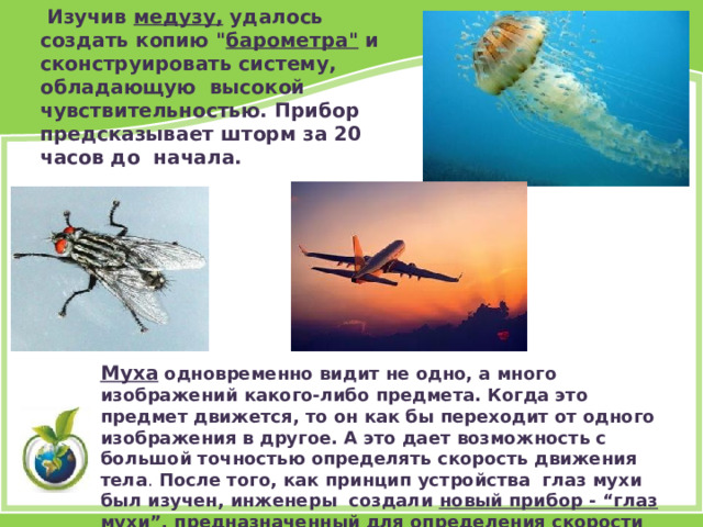  Изучив медузу, удалось создать копию 