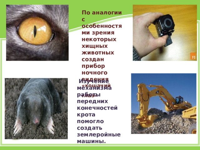 По аналогии с особенностями зрения некоторых хищных животных создан прибор ночного видения «кошачий глаз»    Изучение механизма работы передних конечностей крота помогло создать землеройные машины.  